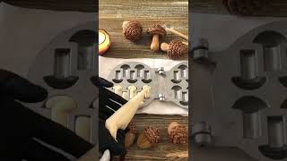 Edible Mushrooms #cookies #shorts #fall #mushroom #ediblemushrooms