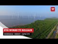 Vietnam works to release renewable energy capacity | VTV World