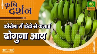 कृषि दर्शन : कोरोना में केले से कमाई दोगुना आय | Krishi Darshan | Oct. 12, 2021