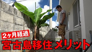 宮古島移住2か月目の35歳♂が気づいたこと【ポジティブ編】