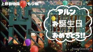 アルン『HAPPY BIRTHDAY』上野動物園みまもり隊☆パトロール記録