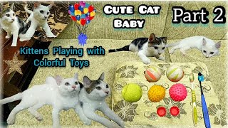 💞Cute Baby Cat_Kittens 😃Playing Sweetly_👍Beautiful Cats are Playing with Colorful 🎾Toys_Funny Part 2