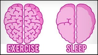 How Exercise Affects Your Brain