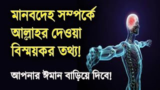 মানবদেহ সম্পর্কে আল্লাহর দেয়া বিস্ময়কর তথ্য! | Amazing information given by Allah about human body