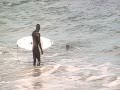 Sea lion attacks surfer (warning graphic content)