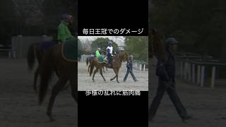 レース後の怪我　#グラスワンダー #的場均 #競馬 #サラブレッド #騎手 #怪我