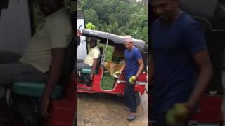 Mango selling style |Sri Lanka| karutha kolampan