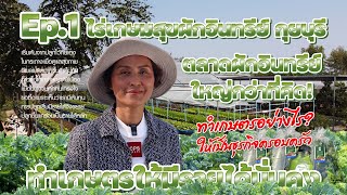 ตลาดผักอินทรีย์ใหญ่กว่าที่คิด ทำเกษตรอย่างไรให้เป็นธุรกิจครอบครัว #เกษตรอารมณ์ดี