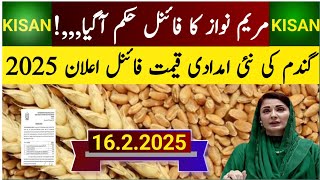 Wheat Support Price 2025 / گندم کی نئی امدادی قیمت فائنل اعلان