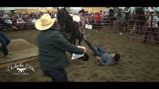 Se cae del caballo bailando en la competencia de caballos bailadores