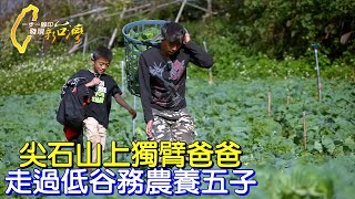 【新竹】 車禍右手神經斷裂 單親獨臂爸種水蜜桃.高麗菜撐家計∣一步一腳印【獨臂爸爸的生命挑戰】2022113