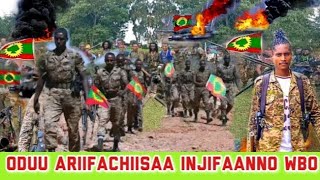 Oduu Ariifachiisaa Afaan Oromo  Amma Nu Gahe May 30, 2024