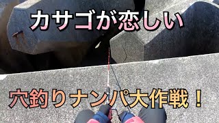 【和歌山】カサゴが恋しい。。穴釣りナンパ大作戦！！