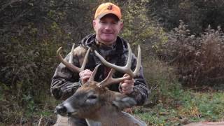 What's the Best Doe:Buck Ratio? Ask QDMA