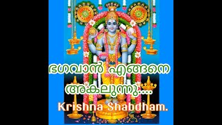 ഭഗവാൻ എങ്ങനെ അകലുന്നു....(Lord Krishna Speech Malayalam) കൃഷ്ണ ശബ്ദം.