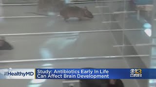 HealthWatch: Study Says Antibiotics In Early Life Can Affect Brain Development
