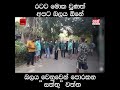 බලයට පොරකන සත්තු වත්ත