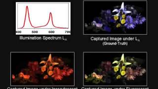 Multispectral Imaging Using Multiplexed Illumination