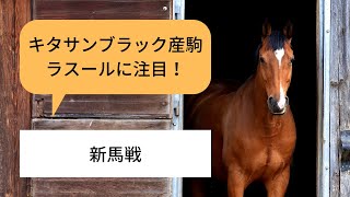 【新馬振り返り】良血ラスールに注目！