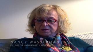 Election 2014 Village of Mamaroneck Residents voice their opinions! (short version)