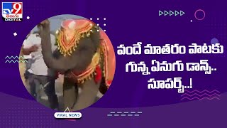 వందే మాతరం పాటకు గున్న ఏనుగు డాన్స్‌.. సూపర్బ్‌..! - TV9