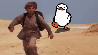 Anakin Duck