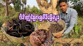 របៀបចំរ៉ាញ់ផ្លចាន់គីរីធ្វើស្ករHow to make wild fruit for sugar