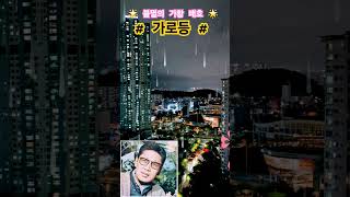 불멸의 가황 배호 - 가로등