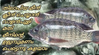 Tilapia Cleaning Malayalam || തിലാപിയ മീൻ ക്ലീൻ ചെയ്യാം || Tilapia Fish Cleaning | Oru Simple Recipe