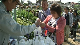 みどりの日　岡山市の植物園で花の無料配布