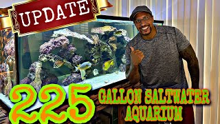 225 GALLON SALTWATER AQUARIUM!! UPDATE!!**PREDATOR FISH**