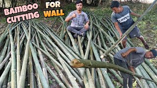 bamboo cutting in sadiya ambikapur for Wall | per piece rate 20 rupee bamboo in Assam 😱