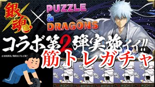 【パズドラ】器具を用いての新たな筋トレガチャがやばすぎた。【銀魂コラボガチャ】