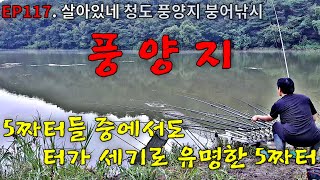 EP117. 살아있네 | 5짜터 중에서도 터가 세기로 유명한 5짜터 | 청도 | 풍양지 | 붕어낚시 | Crucian Carp Fishing