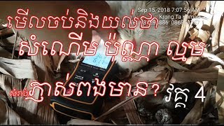 មើលចប់និងយល់ថាសំណើម ប៉ុណ្ណា ល្មម សំរាប់ភ្ញាស់ពងមាន់? ដោយប្រើ​​ទូភ្ញាស់ វគ្គ4