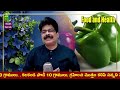 కాప్సికం మీ ఆరోగ్యానికి ఒక సూపర్ ఫుడ్ capsicum a natural energy booster for your health