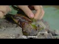 美女荒野求生秀技能，尋找食物、打造庇護所、製作陷阱、戶外捕魚、編織物件等，那可是樣樣拿手，極品美女波妹野外生存前篇完整版！