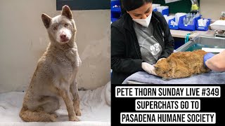 PETE THORN SUNDAY LIVE #349 SUPERCHATS GO TO PASADENA HUMANE SOCIETY