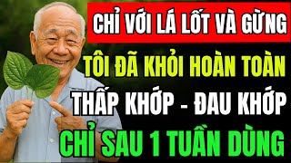 Lá Lốt Kết Hợp Với Gừng Tươi Bài Thuốc Vàng Cho Người Bị Thấp Khớp Và Thoái Hóa Xương Khớp