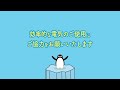 【ご家庭の省エネのコツ（夏）３０秒ver.】