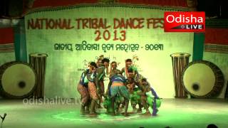 Kathi Dance of Jatapu Tribe of Odisha - National Tribal Dance Festival 2013 - Bhubaneswar