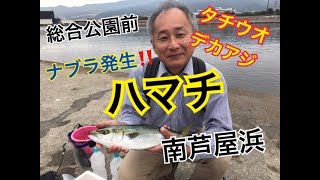 タチウオ・ハマチ・デカアジ釣れてる♪fishingmax芦屋店