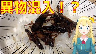 【VTuber】初めていなごを食べてみた！！　I ate locusts for the first time.