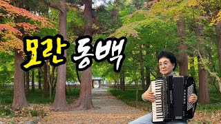 분당아코디언 전금주 ㅡ모란동백(조영남)