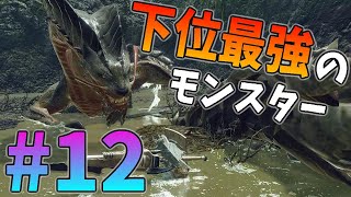 【MHR:SB】第12話 高い攻撃力とイカれた攻撃範囲！下位ハンターの壁「オロミドロ」が立ち塞がる！！