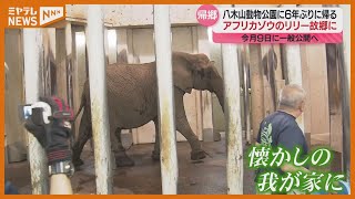 ＜おかえり！＞アフリカゾウ・リリー　6年ぶりに秋田から仙台「八木山動物公園」に　『動きがシャキシャキしていてかわいらしい』