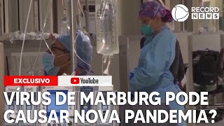 Marburg: entenda o que é o vírus e se ele pode causar uma nova pandemia