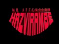 Mr Attention -Hazvirambe Official Video