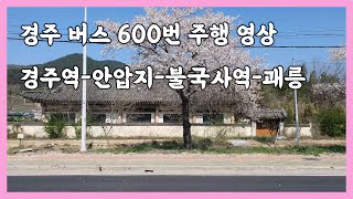 [창밖풍경] 🌸경주 버스 600번 측면 주행 영상 (경주역/안압지/불국사역/괘릉)🌸