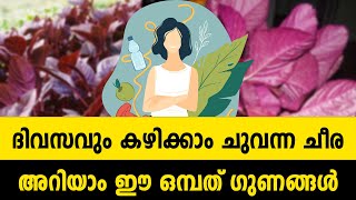 ദിവസവും കഴിക്കാം ചുവന്ന ചീര; അറിയാം ഈ ഒമ്പത് ഗുണങ്ങള്‍…